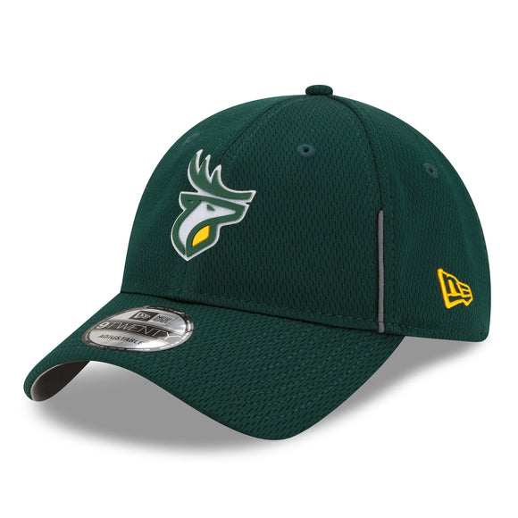 Edmonton Elk CFL Football New Era Sideline 9TWENTY Green Adjustable Cap Hat