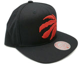 Men's Toronto Raptors Mitchell & Ness Team Ground NBA Basketball Snapback Cap