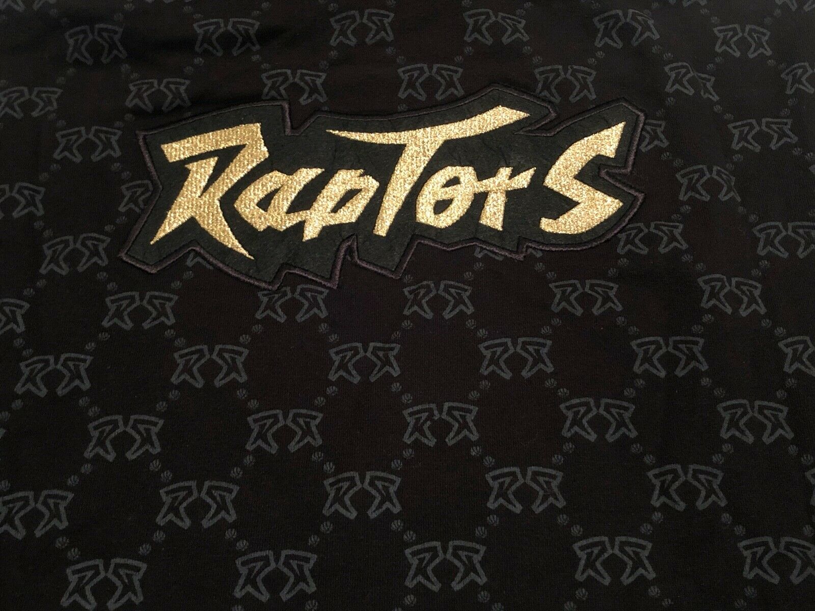 Mitchell & Ness Men Toronto Raptors Split Color Hoodie (B&T)